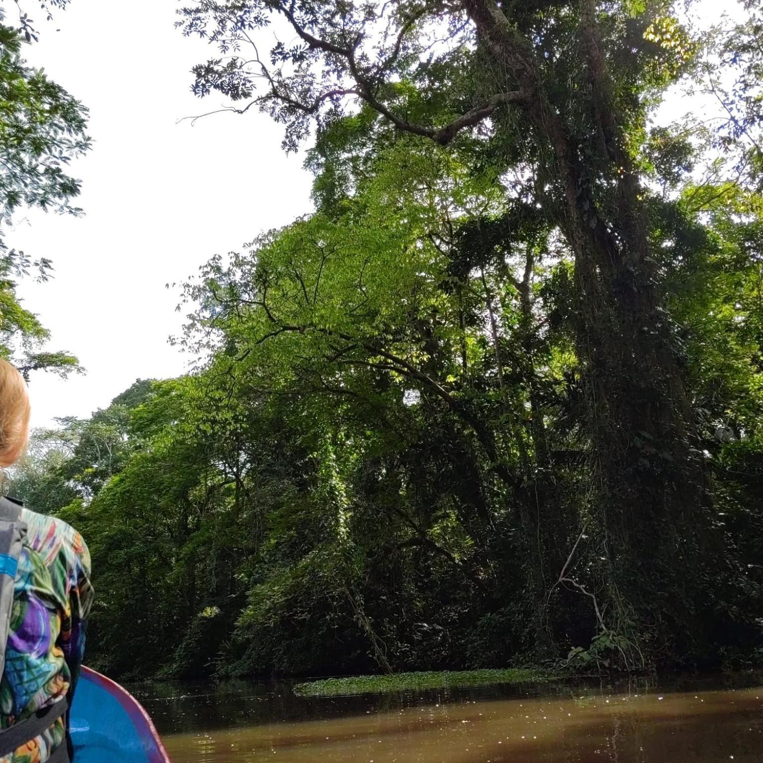 Tortuguero Villas Екстер'єр фото