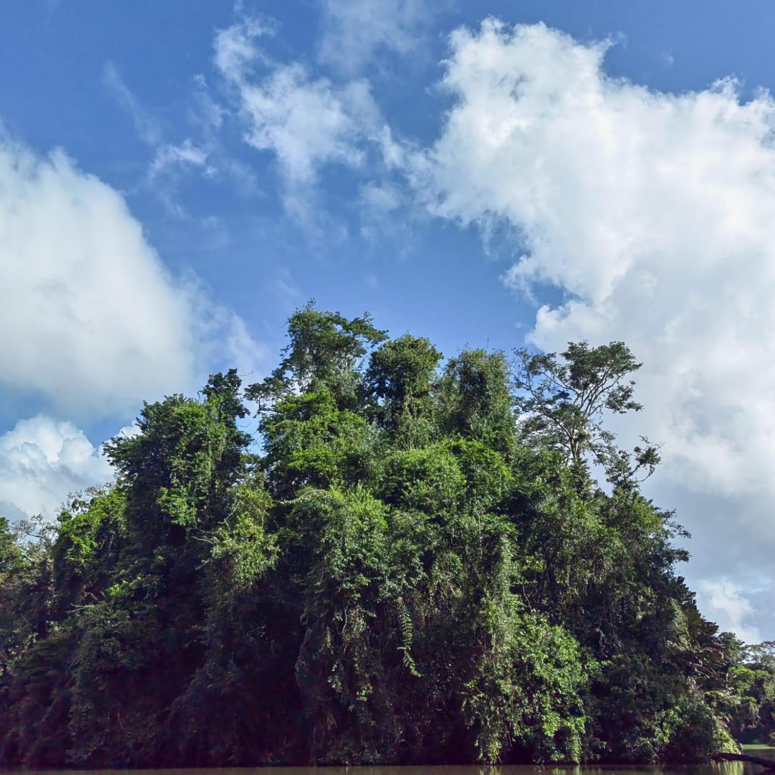 Tortuguero Villas Екстер'єр фото