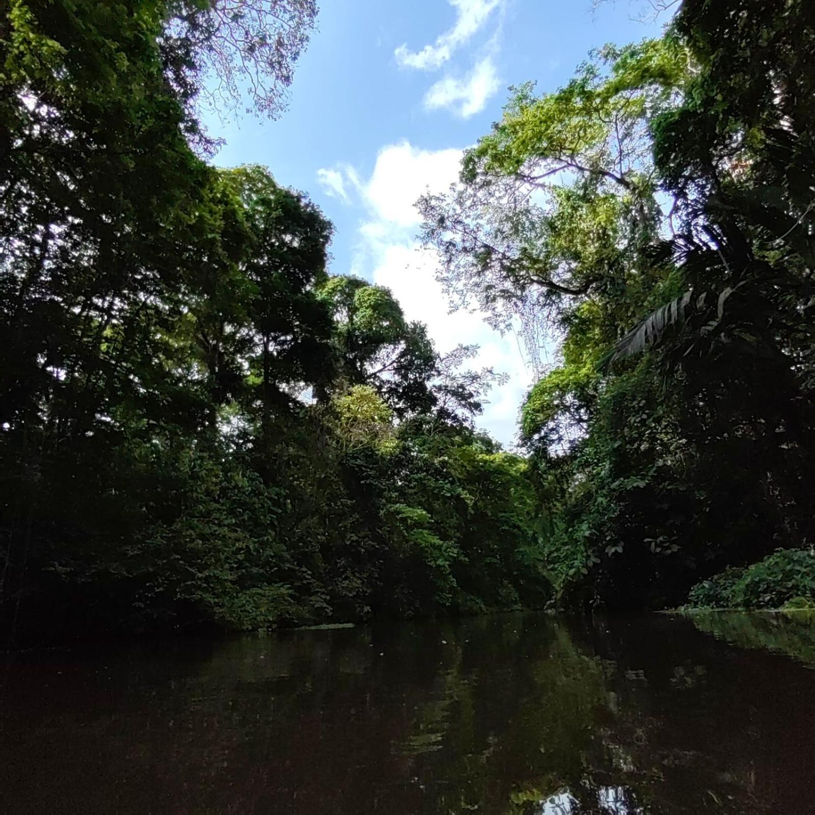Tortuguero Villas Екстер'єр фото